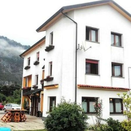 Albergo Alla Pineta Villa Santina Dış mekan fotoğraf