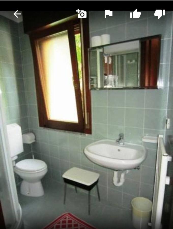 Albergo Alla Pineta Villa Santina Dış mekan fotoğraf